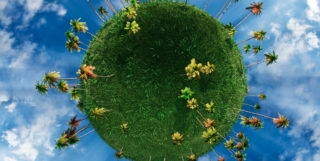 Eco Tags de Gamesplanet