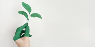 Décarbonons la culture dans le cadre du plan de transformation de l&rsquo;économie française