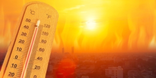 What Do Video Gamers Think About Global Warming? – 2022 – YALE PROGRAM ON CLIMATE CHANGE COMMUNICATION