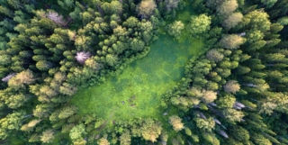 Les joueurs et les joueuses de la Green Game Jam 2022 – PLAYING FOR THE PLANET