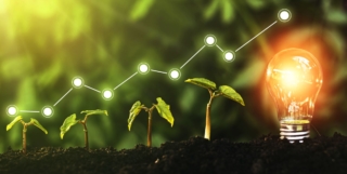 Xbox Sustainability Toolkit